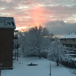 Meet your Posher, Jaden